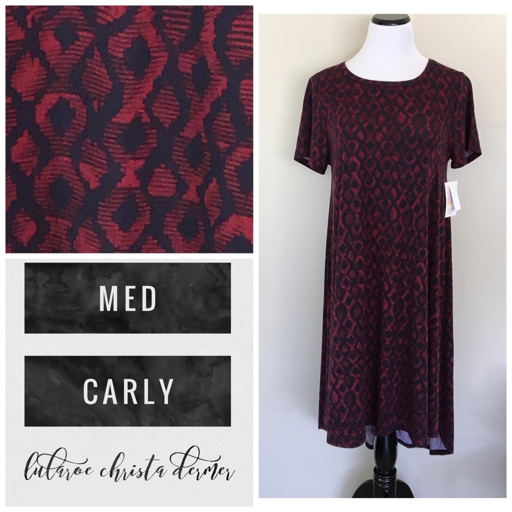 NWT Lularoe Carly Dress